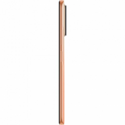 Мобильный телефон Xiaomi Redmi Note 10 Pro 6/128GB Bronze