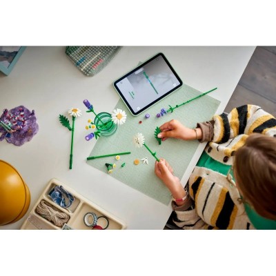 Конструктор LEGO Botanicals Ромашки Конструктор LEGO Botanicals Ромашки