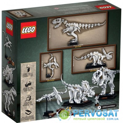 Конструктор LEGO Ideas Останки динозавра (21320)