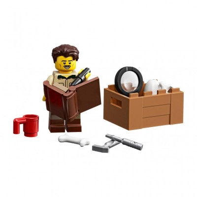 Конструктор LEGO Ideas Останки динозавра (21320)