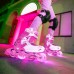 Ролики Neon INLINE SKATES Рожевий (Розмір 34-38)