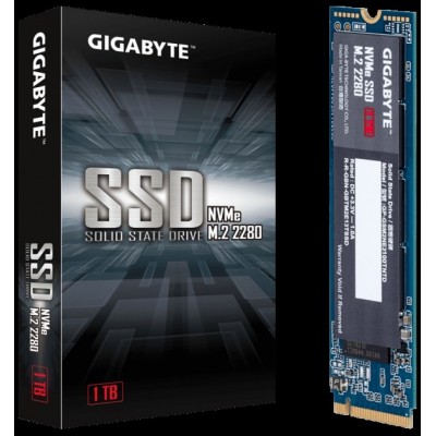 Gigabyte GP-GSM2NE3100TNTD