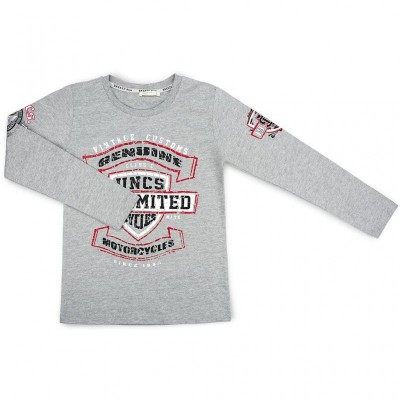 Кофта Breeze "Vintage customs" (11616-146B-gray)