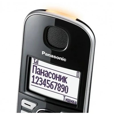 Радіотелефон DECT Panasonic KX-TGE510RUS, чорно-сріблястий