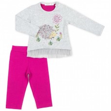 Набір дитячого одягу Breeze с ежиком (10348-68G-gray) Набір дитячого одягу Breeze с ежиком (10348-68G-gray)