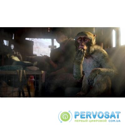 Игра SONY Комплект «Far Cry 4» + «Far Cry 5» [PS4, Russian version] (8113476)