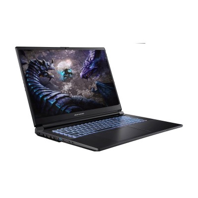 Ноутбук Dream Machines G1650-17 17.3FHD IPS, Intel i5-13500H, 16GB, F1TB, NVD1650-4, DOS, чорний