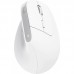 Миша Trust Bayo+ Multidevice Ergonomic, BT/WL/USB-A, біла