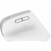 Миша Trust Bayo+ Multidevice Ergonomic, BT/WL/USB-A, біла