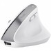Миша Trust Bayo+ Multidevice Ergonomic, BT/WL/USB-A, біла