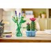 Конструктор LEGO Botanicals  Цвітіння кактуса