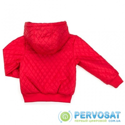 Куртка Verscon стеганая с капюшоном (3439-98B-red)