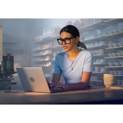 Ноутбук HP Probook 4-G1a 14" WUXGA IPS, AMD R3-210, 16GB, F512GB, UMA, Win11P, сріблястий