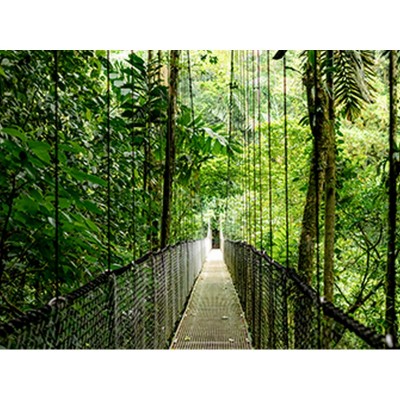 Ноутбук HP Probook 4-G1a 16" WUXGA IPS, AMD R7-250, 24GB, F1024GB, UMA, DOS, сріблястий Ноутбук HP Probook 4-G1a 16" WUXGA IPS, AMD R7-250, 24GB, F1024GB, UMA, DOS, сріблястий