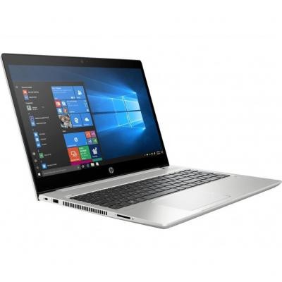 Ноутбук HP ProBook 455R G6 (5JC19AV_V11)