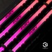 Модуль памяти для компьютера DDR4 32GB 3600 MHz Fury Renegade RGB HyperX (Kingston Fury) (KF436C18RBA/32)