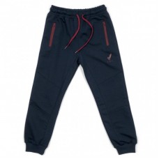 Штани дитячі Joi спортивні (C-321-164B-blue) Штани дитячі Joi спортивні (C-321-164B-blue)
