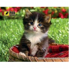 Килимок для мишки Pod Mishkou Котенок в корзине Килимок для мишки Pod Mishkou Котенок в корзине