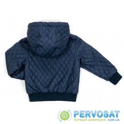 Куртка Verscon стеганая (3439-92B-blue)