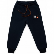 Штани дитячі Cloise спортивні на флісі (CL0153018-140B-blue) Штани дитячі Cloise спортивні на флісі (CL0153018-140B-blue)
