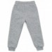Штани дитячі Cloise спортивні на флісі (CL0153011-104B-gray)