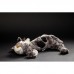 М'яка іграшка sigikid Beasts Кіт Паул Плетт 35 см 38058SK