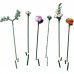 Конструктор LEGO Botanicals Милий рожевий букет квітів