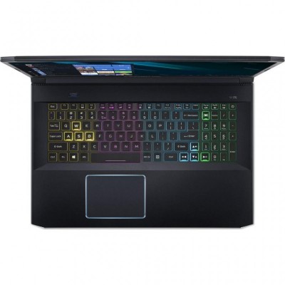 Ноутбук Acer Predator Helios 300 PH317-54 (NH.Q9UEU.006)