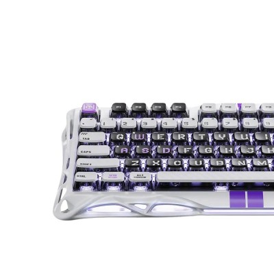 Клавіатура механічна GravaStar Mercury V75 80keys, Magnetic Jade Pro, 8K, USB-A, RGB, Mecha Gray