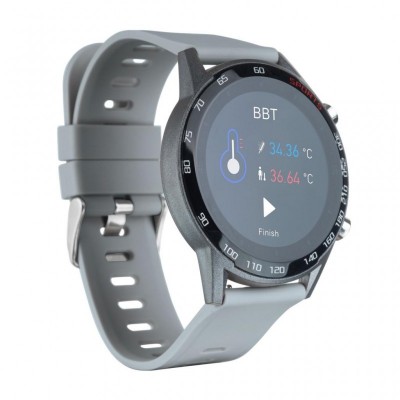 Смарт-годинник Globex Smart Watch Me2 (Gray)