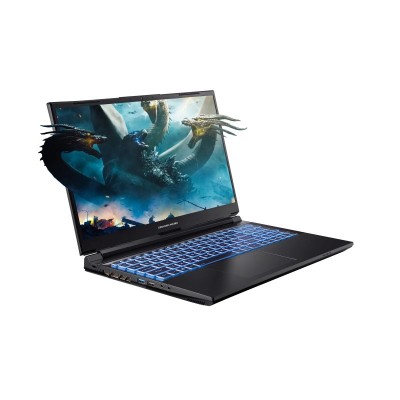 Ноутбук Dream Machines G1650-15 15.6FHD IPS, Intel i7-13700H, 32GB, F1TB, NVD1650-4, DOS, чорний