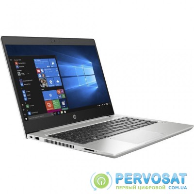 Ноутбук HP ProBook 445 G7 (7RX17AV_V8)