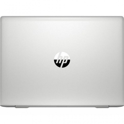 Ноутбук HP ProBook 445 G7 (7RX17AV_V8)