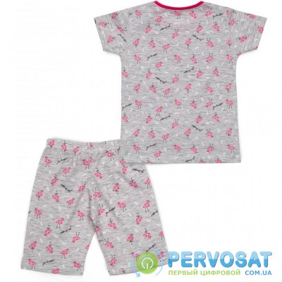 Пижама Breeze с фламинго (15778-146G-gray)