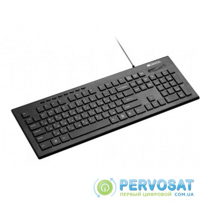 Клавиатура CANYON CNS-HKB2-RU Black USB (CNS-HKB2-RU)
