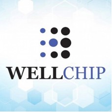 Чіп для картриджа OKI C5500/5800/5900, Yellow, 6K, USA Region WELLCHIP (COKIC5800Y) Чіп для картриджа OKI C5500/5800/5900, Yellow, 6K, USA Region WELLCHIP (COKIC5800Y)