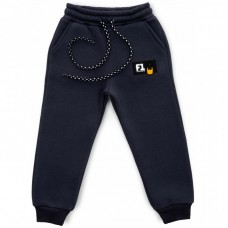 Штани дитячі Cloise спортивні на флісі (CL0153018-116B-gray) Штани дитячі Cloise спортивні на флісі (CL0153018-116B-gray)