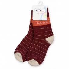 Шкарпетки Aziz махрові коричневі (C34474-6B-brown) Шкарпетки Aziz махрові коричневі (C34474-6B-brown)