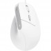 Миша Trust Bayo 2 Ergonomic, USB-A, біла