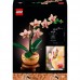 Конструктор LEGO Botanicals Міні орхідея