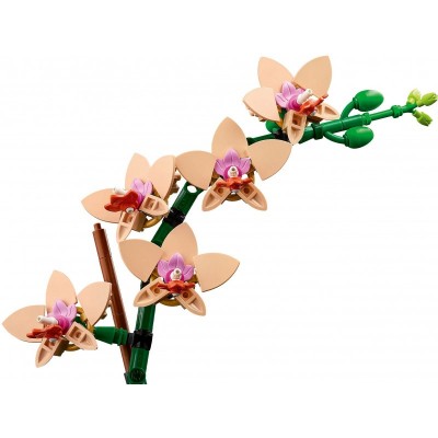Конструктор LEGO Botanicals Міні орхідея