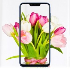 Мобильный телефон ASUS ZenFone Max (M2) ZB633KL 4/32 GB Meteor Silver (ZB633KL-4J072EU)