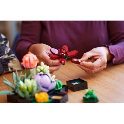 Конструктор LEGO Botanicals Сукуленти Конструктор LEGO Botanicals Сукуленти