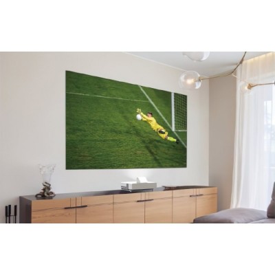 Екран фіксований Epson ELPSC36 16:9, 120", 2.66x1.5 м, ALR