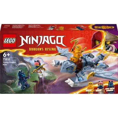 Конструктор LEGO Ninjago Молодий дракон Рію