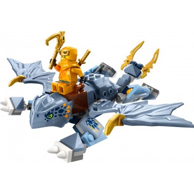 Конструктор LEGO Ninjago Молодий дракон Рію