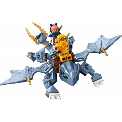 Конструктор LEGO Ninjago Молодий дракон Рію