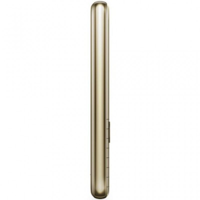 Мобільний телефон Nokia 8000 DS 4G Gold