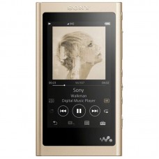 Sony Walkman NW-A55[NWA55LN.CEW]