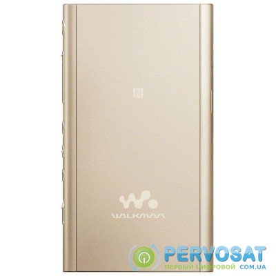 Sony Walkman NW-A55[NWA55LN.CEW]